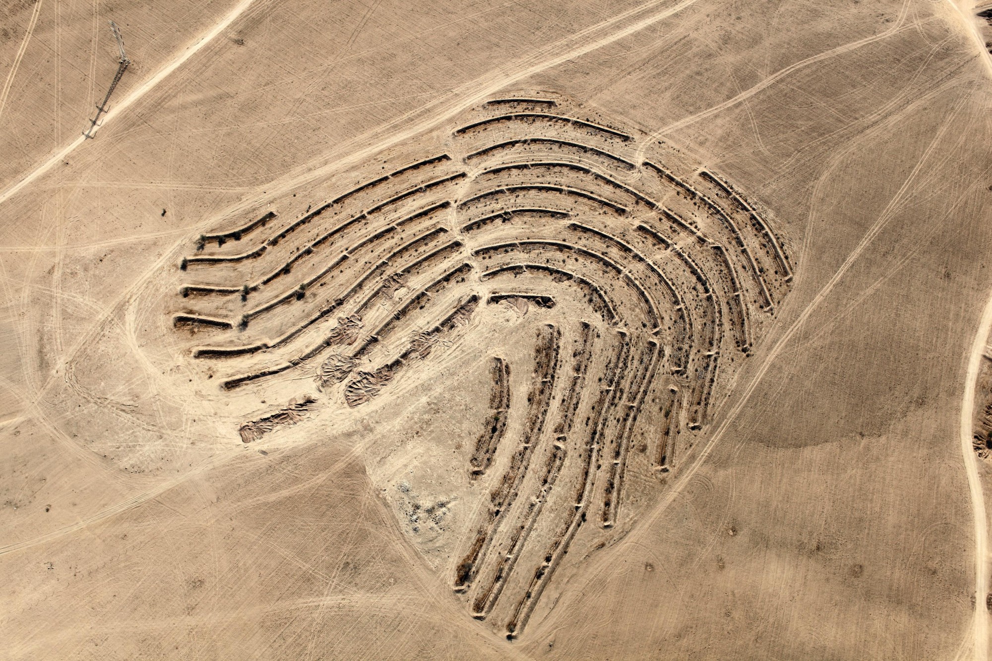 Photographing Conflict By Documenting Climate Change In The Negev   1522 DesertBloom Shore E1463064862192 1 