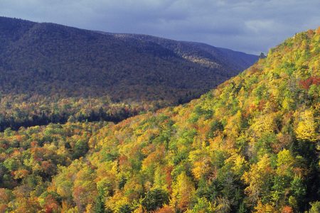 Cape Breton Highlands National Park  (Wolfgang Kaehler/LightRocket via Getty Images)