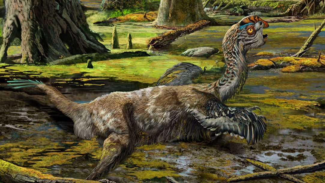 New Species Of Dinosaur Discovered In China - InsideHook