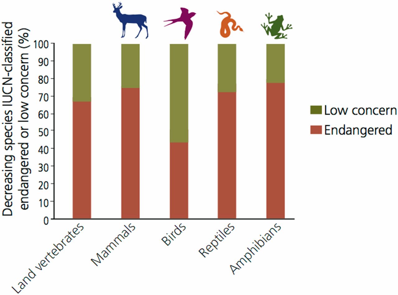 Earth's Sixth Mass Extinction Event Is Underway - InsideHook