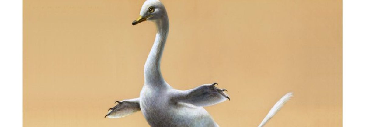 dinosaur that looks like a duck