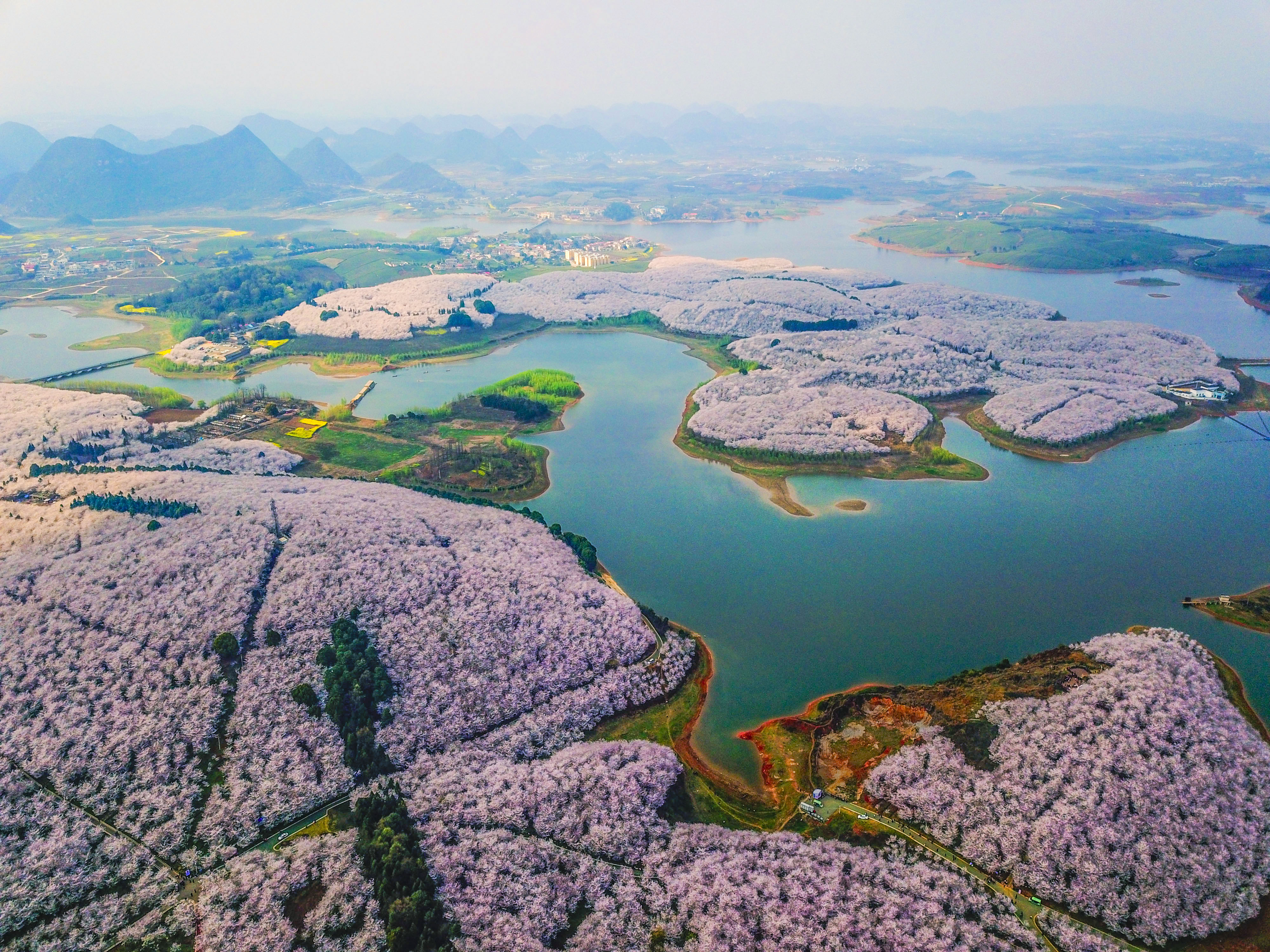 Хубэй Долина Цветущая Китай