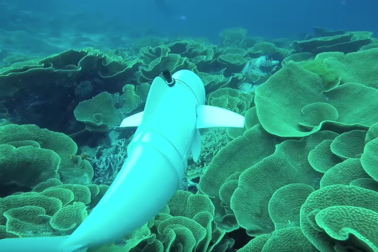 How a robot fish as silent as a spy could help advance ocean