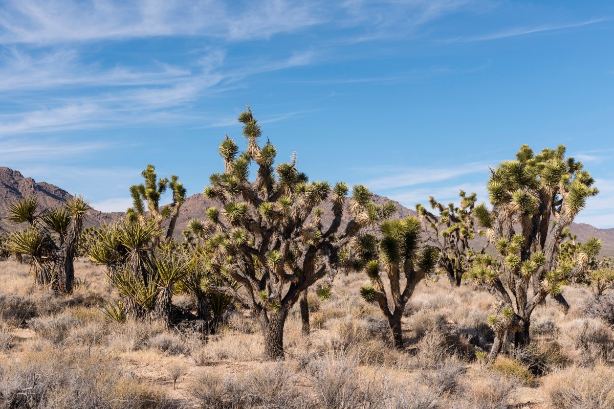 How to See the National Parks Like You've Never Seen Them Before ...