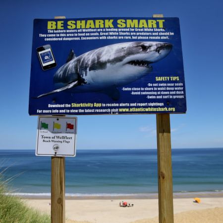 Cape Cod Residents Meet to Discuss Shark Problem That Recalls “Jaws”