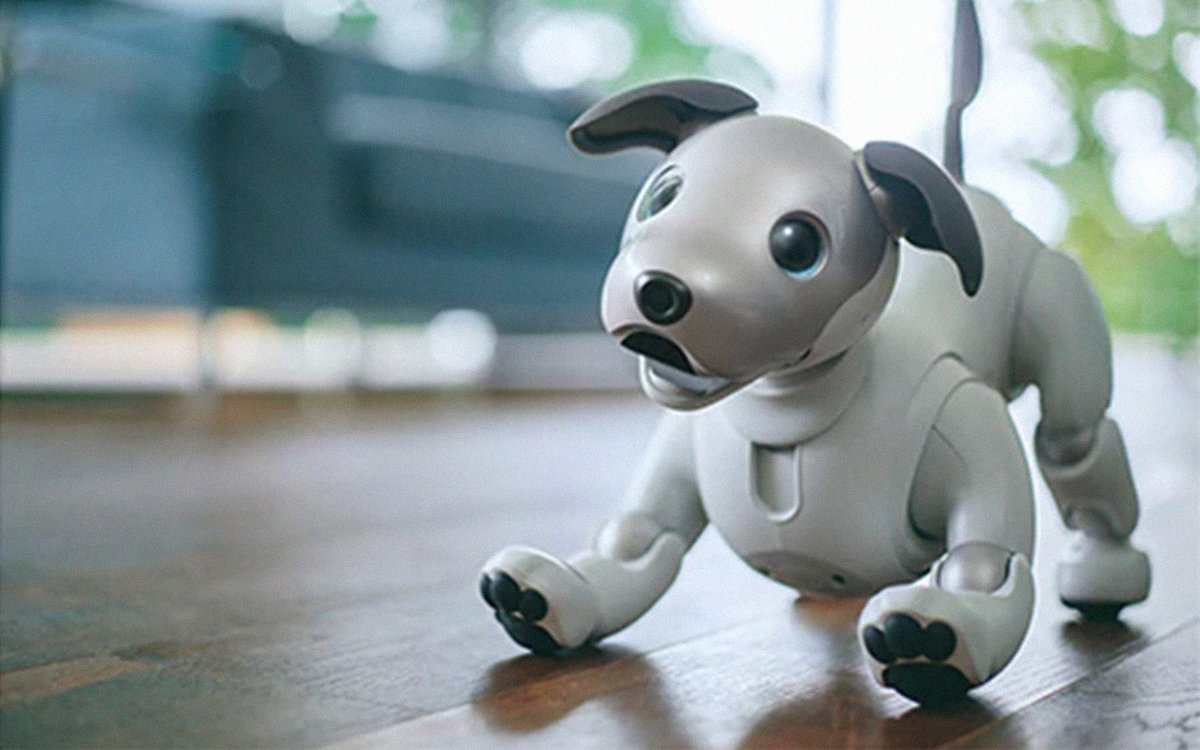 aibo toy