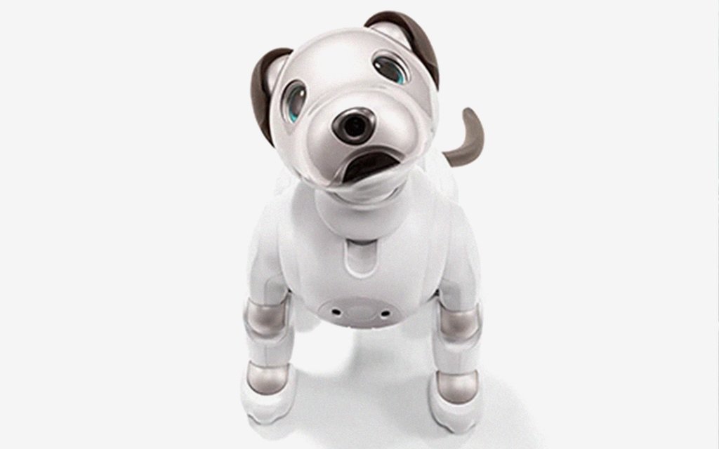 $3000 sony aibo robot dog