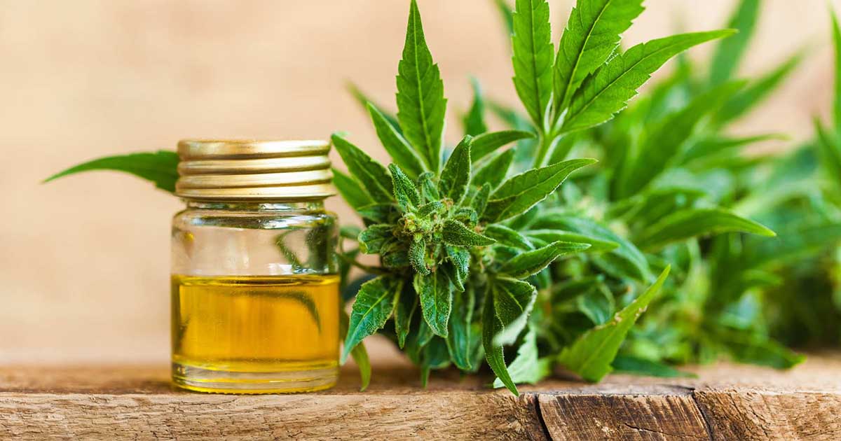 The Best Way to Take CBD Oil: A Beginner's Guide - Floyd's of Leadville