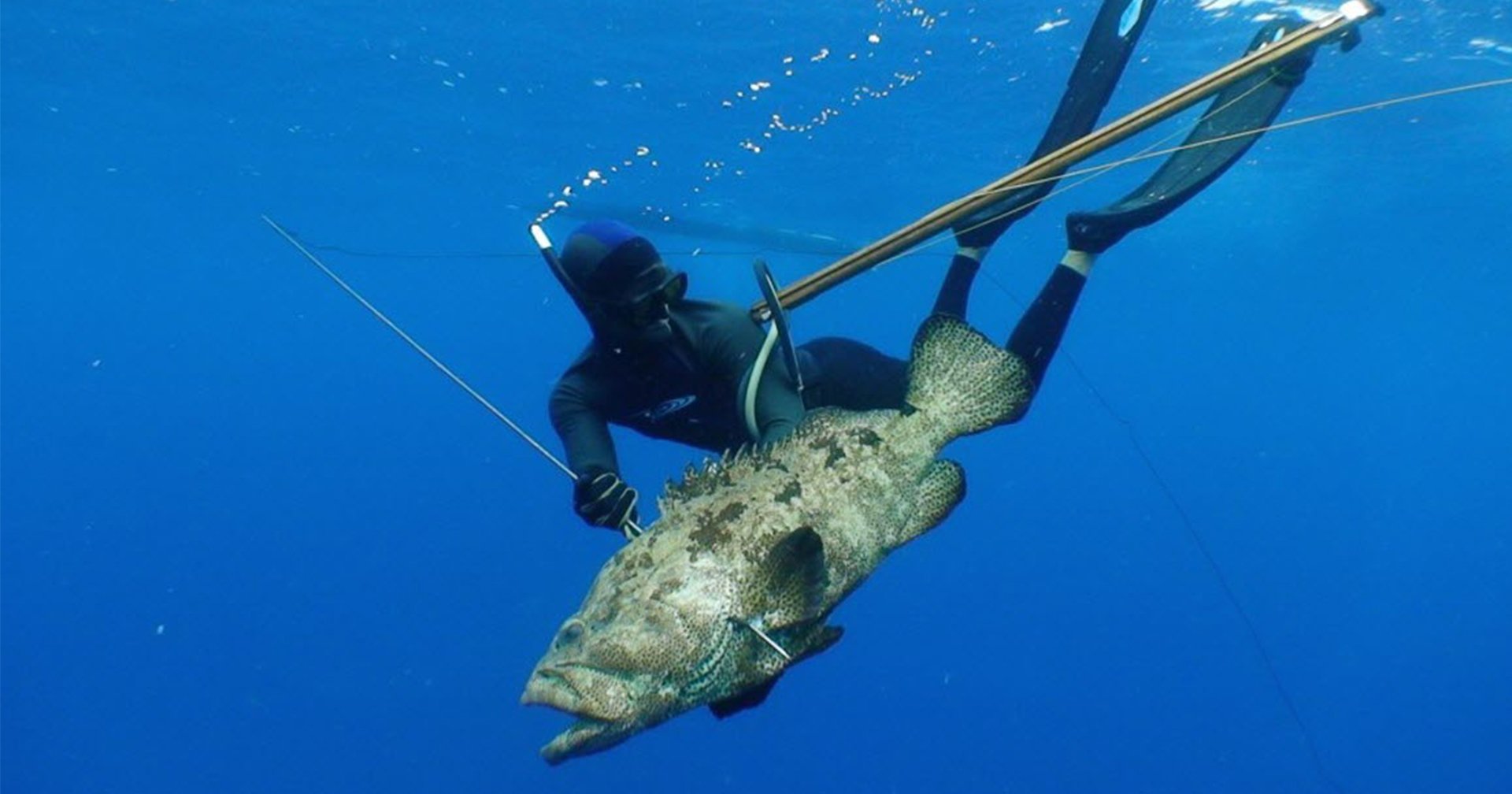 How to Learn Spearfishing - InsideHook