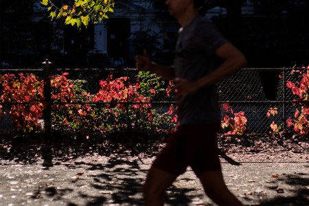 A man running through a park. Light hits red leaves in the background.