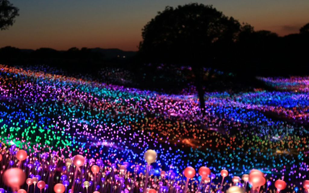 The Sensational Field Of Light Installation Is Now On View In Paso   Inline 2 