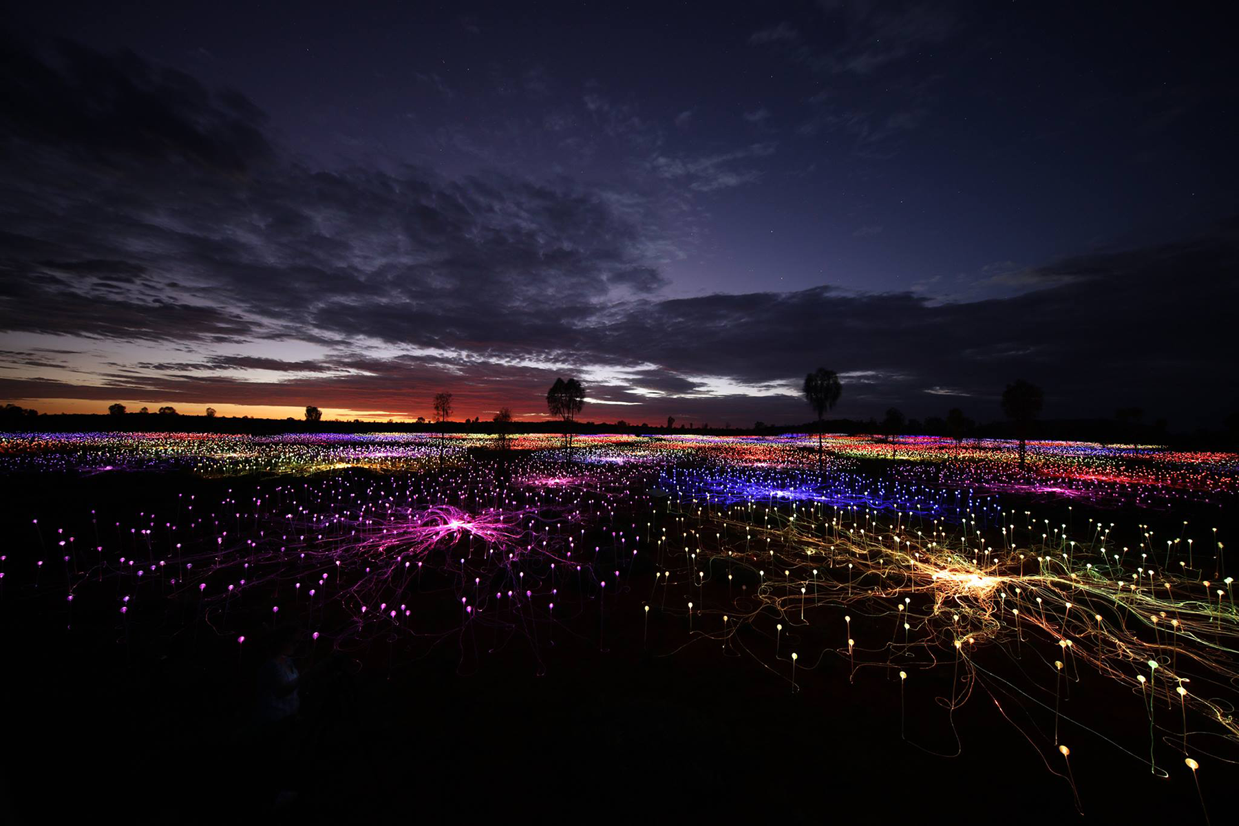 The Sensational “Field of Light” Installation Is Now on View in Paso
