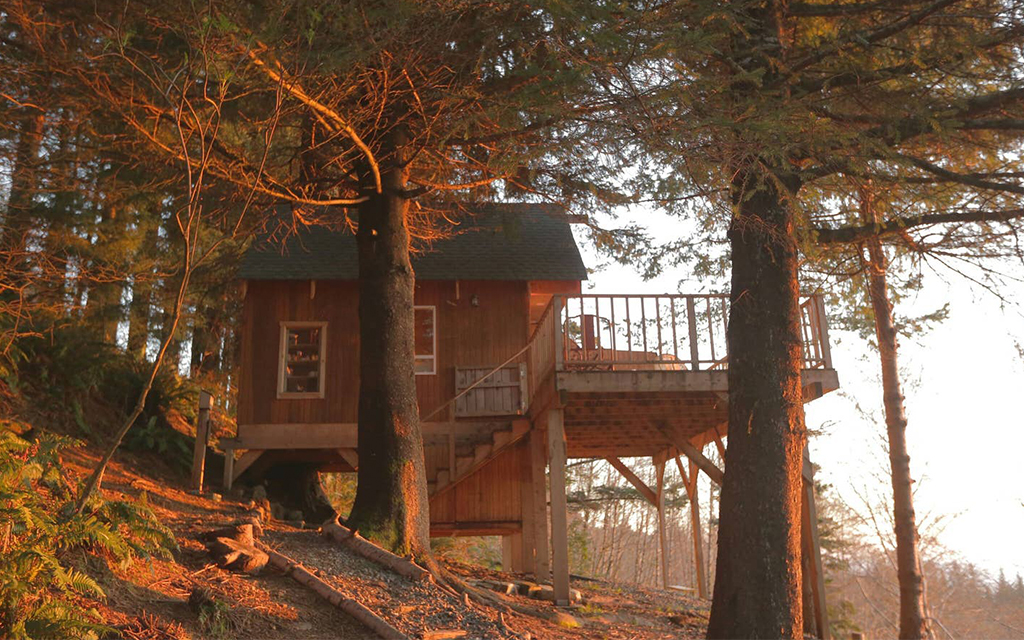 Best Treehouses On Airbnb: Treehouse Vacation Rentals On Airbnb ...