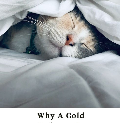 The Scientific Argument for Sleeping in the Cold - InsideHook