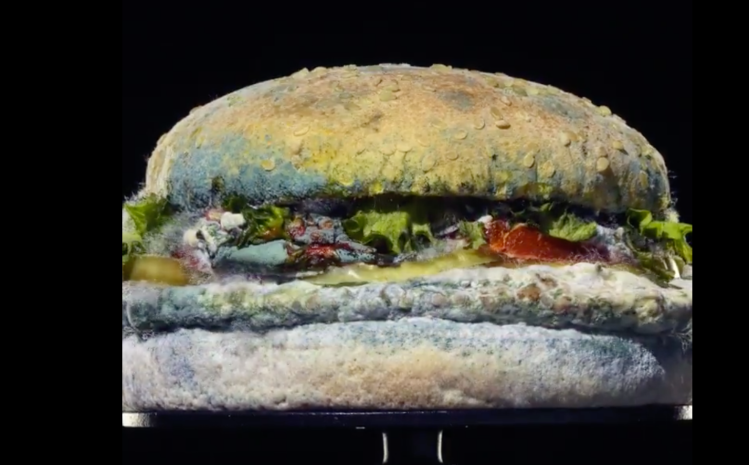 Burger Kings Moldy Whopper Shows Off Preservative Free Burgers Insidehook 1464