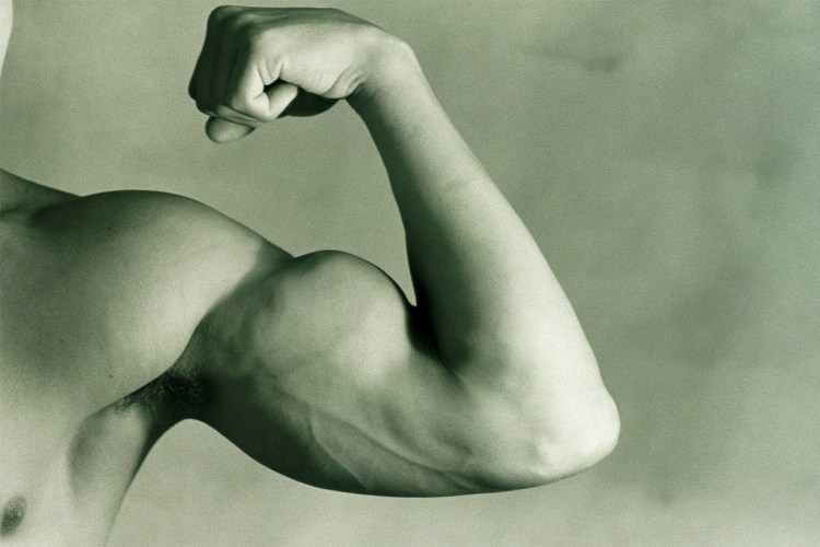 How to Build Your Biceps Without Weights