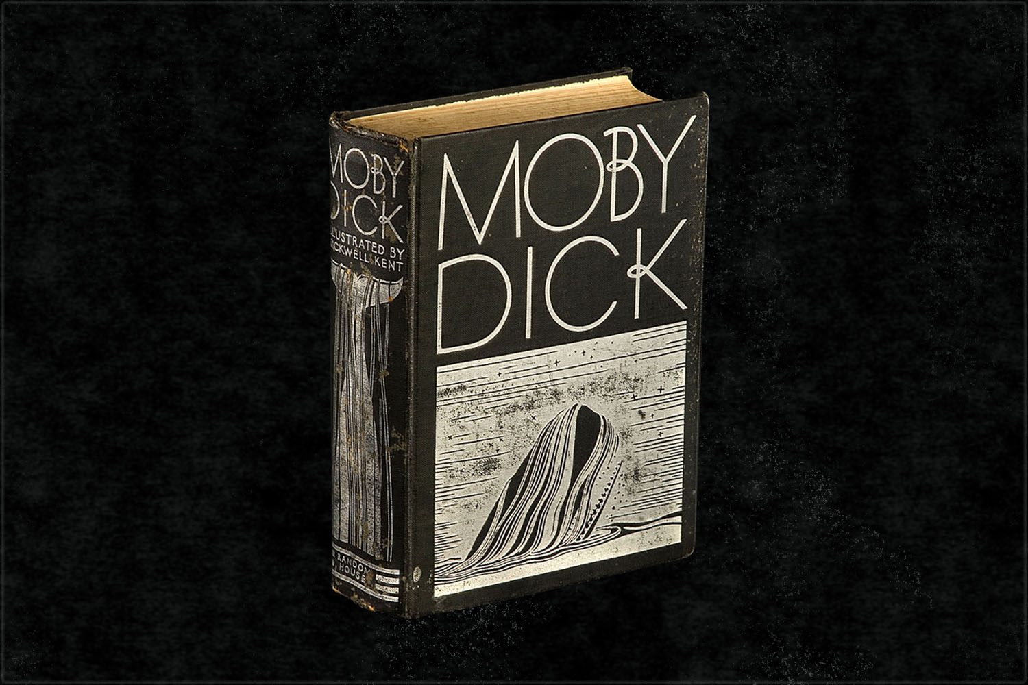 How to Read Moby-Dick While Quarantined - InsideHook