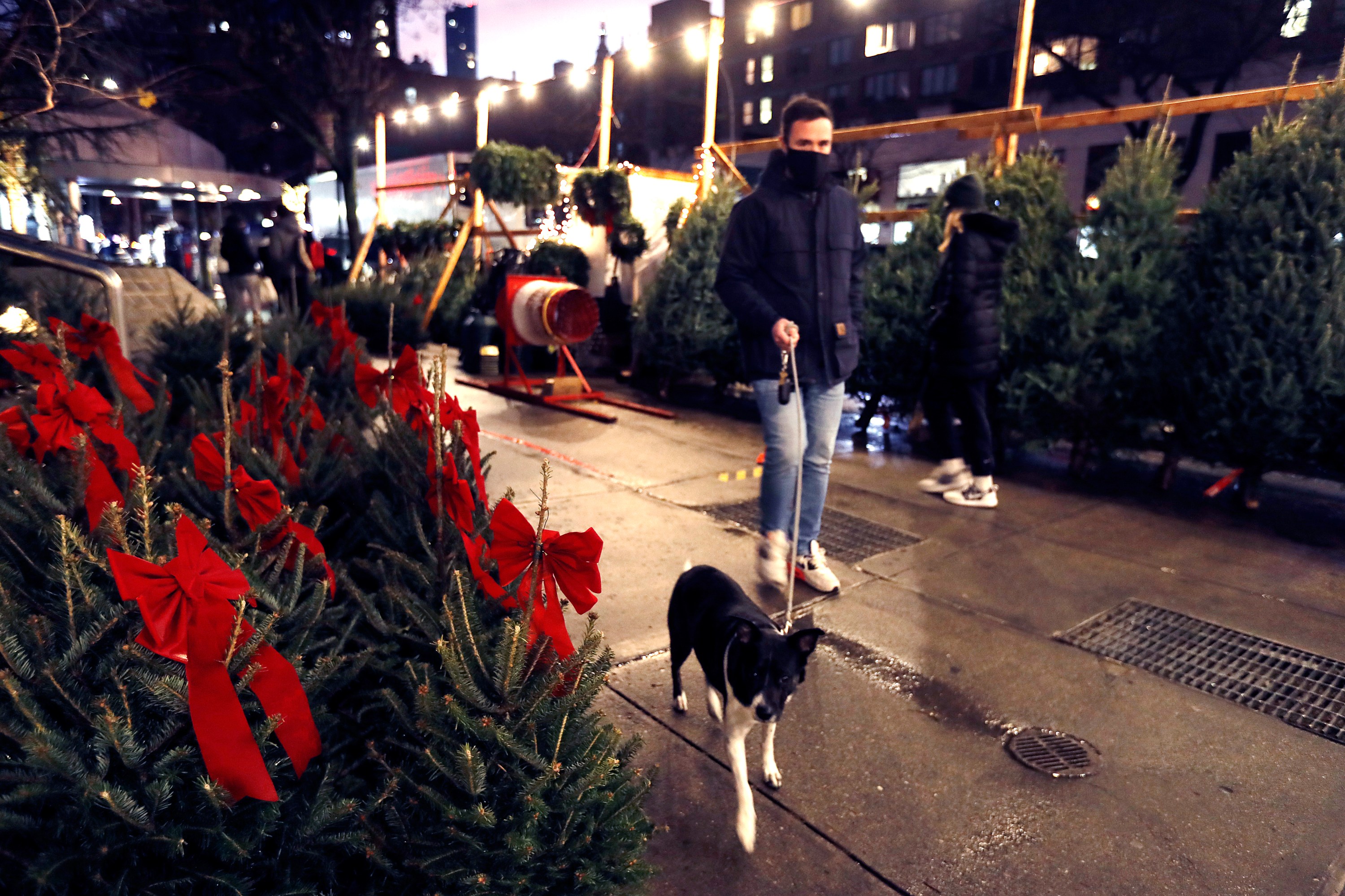 Due to Shortage, Christmas Trees Are Selling for 2,000 InsideHook