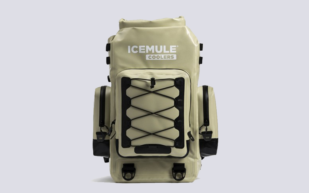 The Best Backpack Coolers of 2022 InsideHook