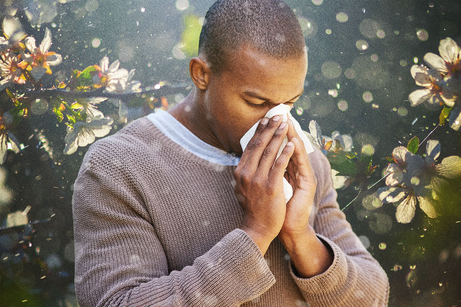 What Seasonal Allergies Are High Right Now