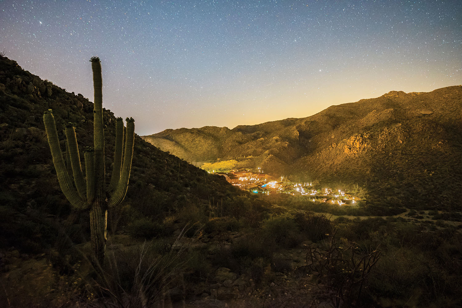 Dove mountain