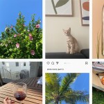 TikTok's version of the photo dump finds beauty in the mundane