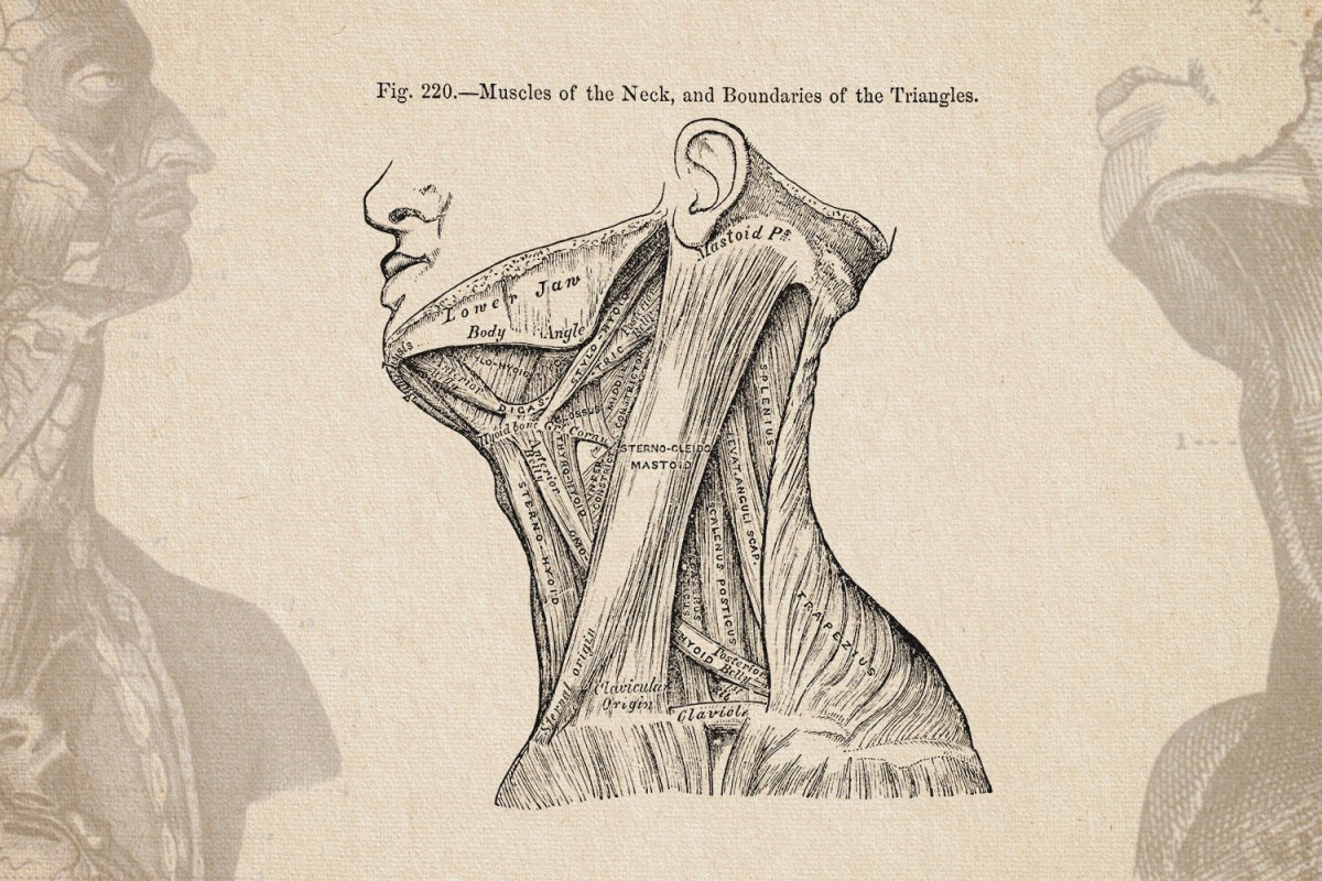 Strength Training Your Jaw Is the Latest, Dumbest Craze in Men's ...