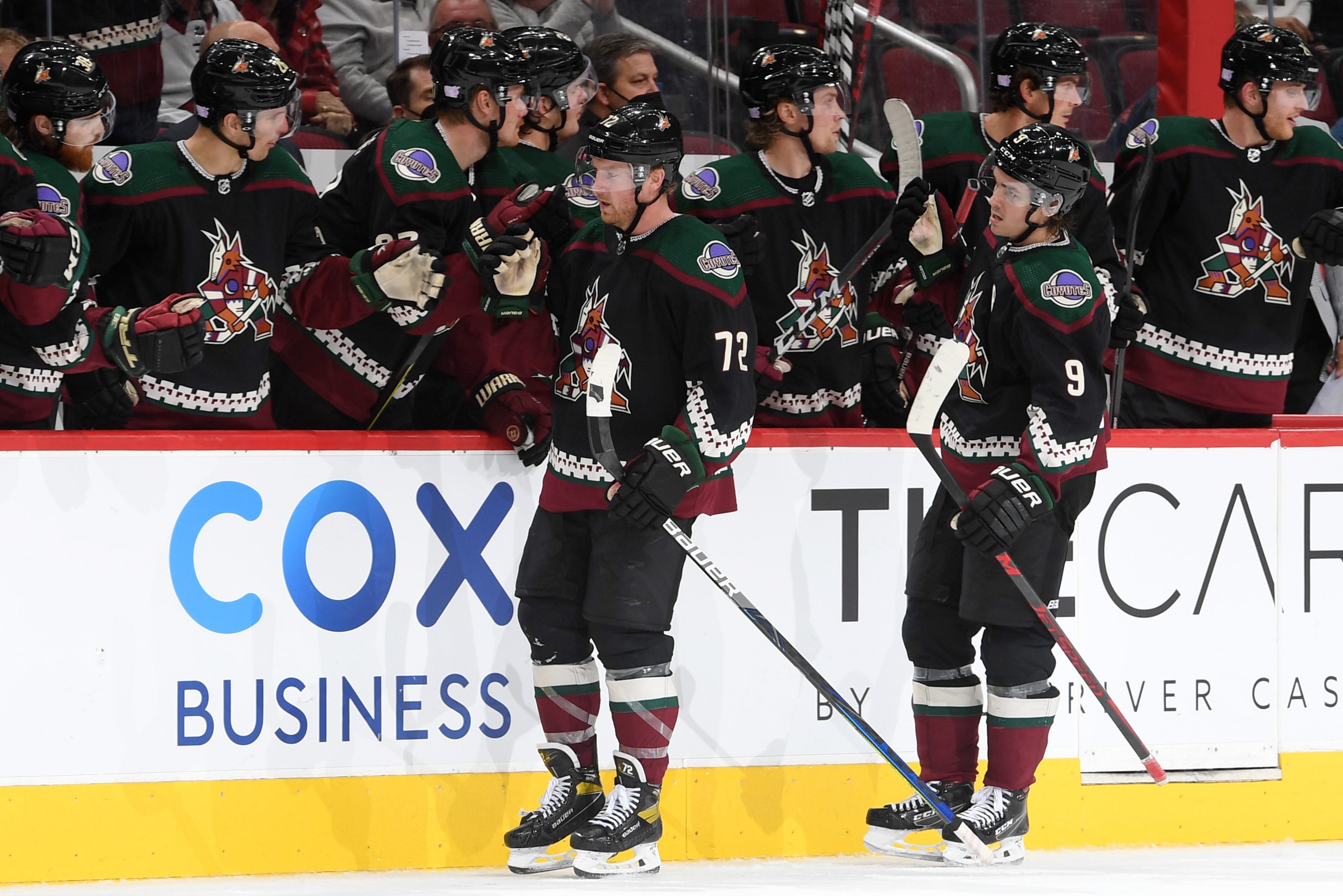 Arizona Coyotes Confirm Another Year at Gila River Arena