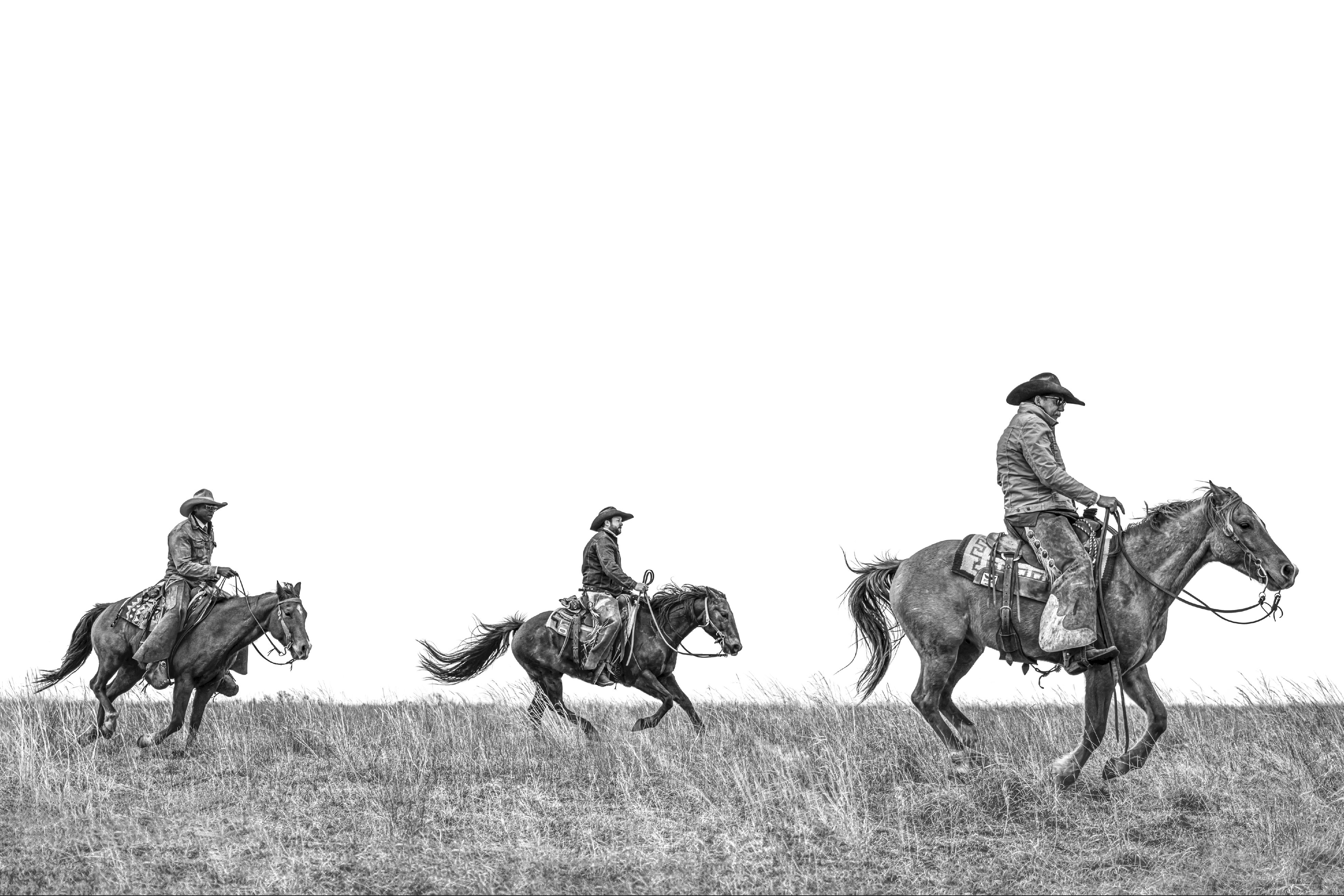 Турнир американских ковбоев. Вакеро. Vaqueros. American Cowboy.