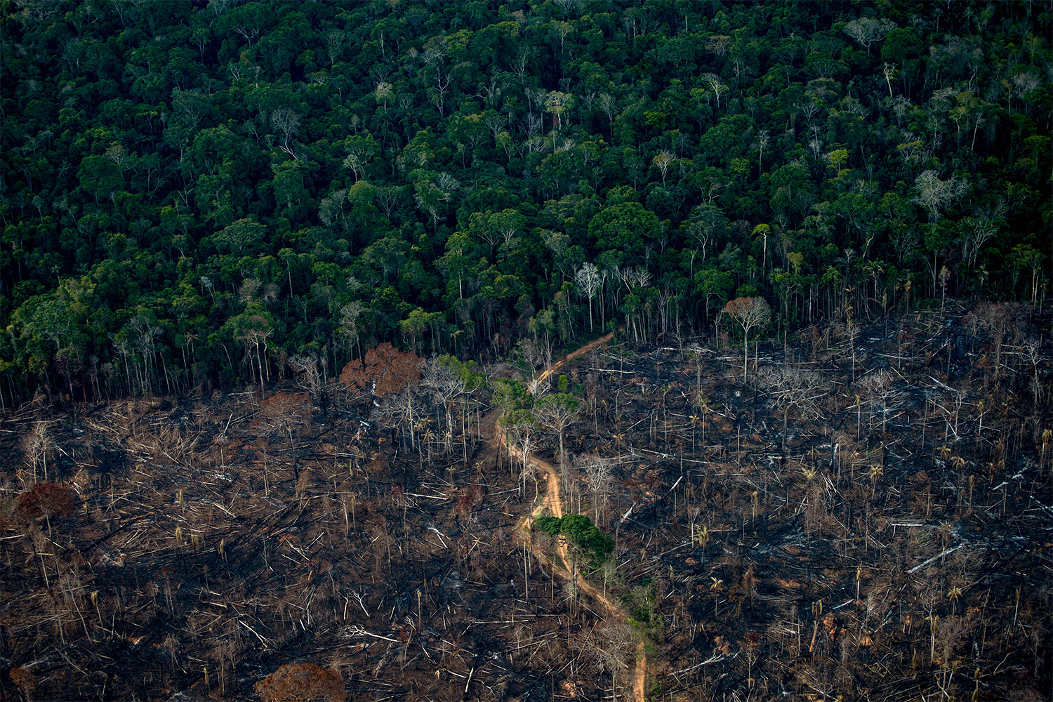 https://www.insidehook.com/wp-content/uploads/2022/02/deforested-amazon-rainforest.jpg