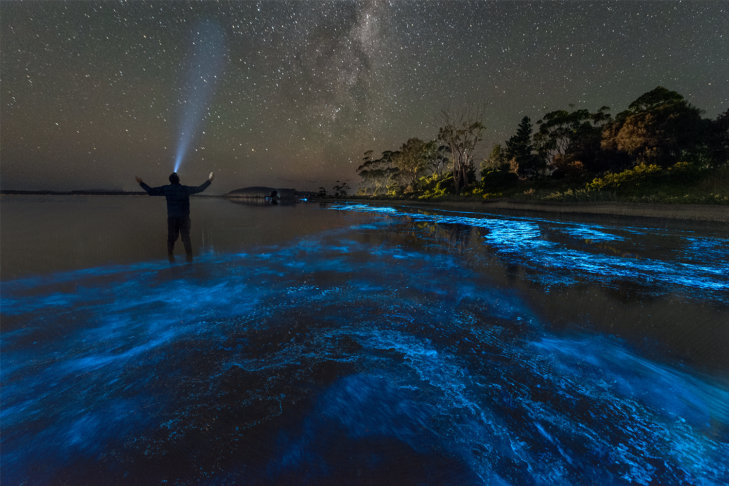What the Hell Is Bioluminescent Tourism? - InsideHook