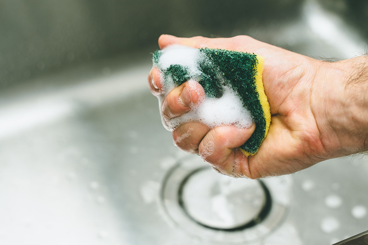 Why Your Kitchen Sponge Is the Ideal Breeding Ground for Bacteria
