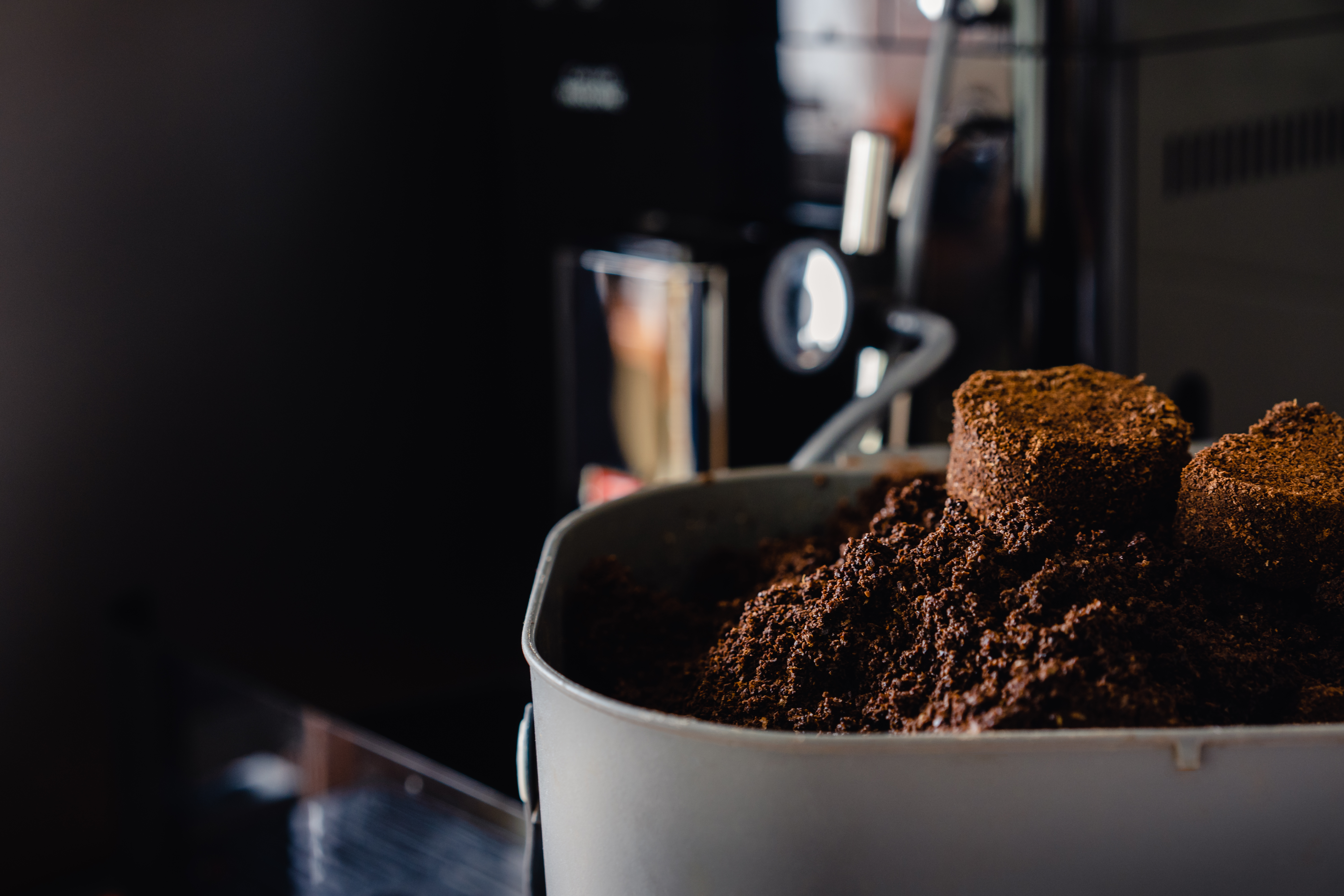 Posos de café para las plantas