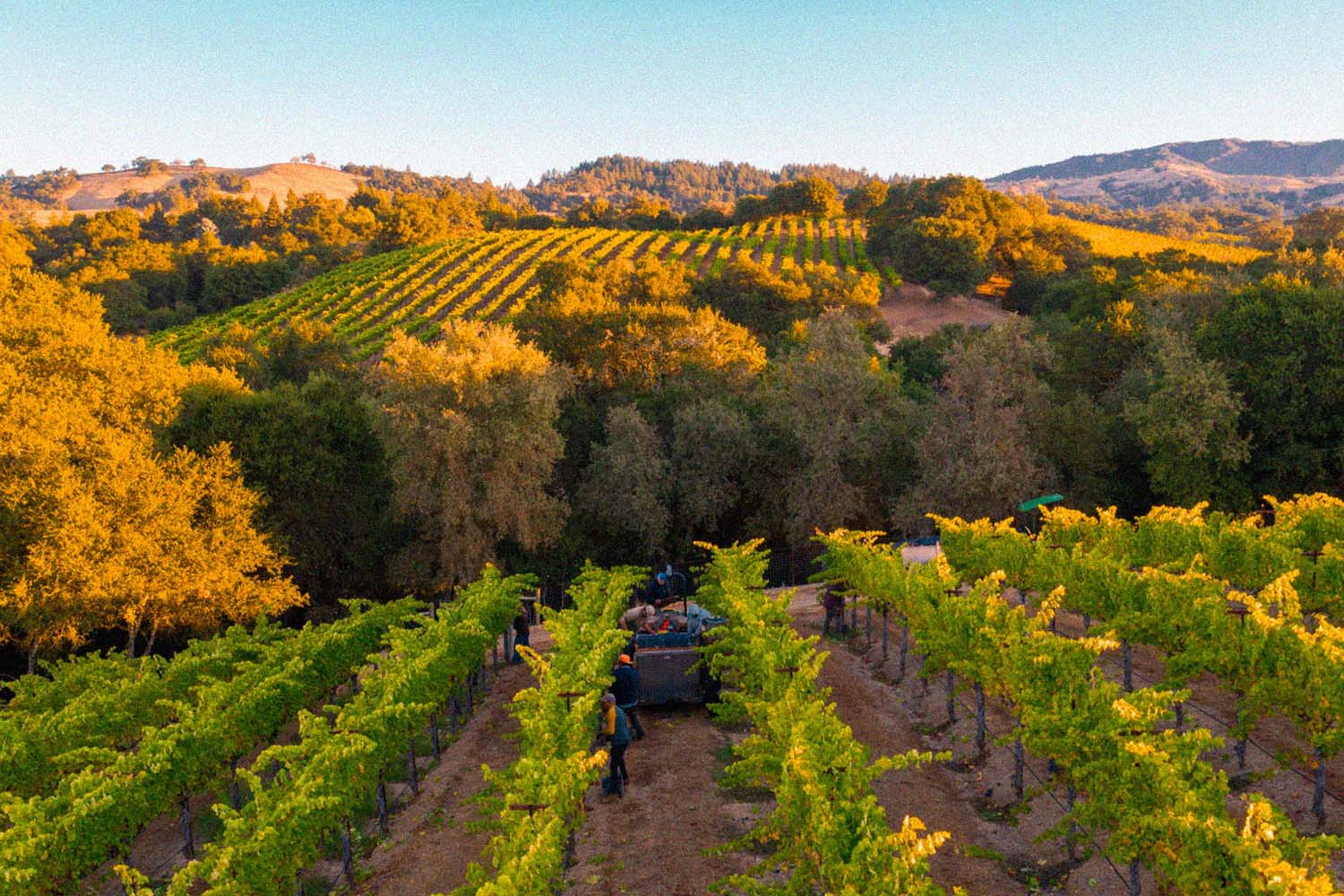 10 Sustainable Wineries To Add To Your Sonoma Itinerary - InsideHook