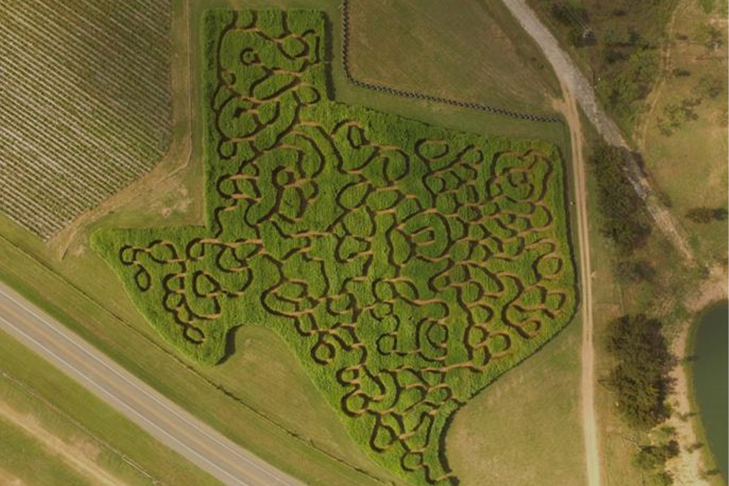 Get Lost in the 10 Best (And Most Complex) Corn Mazes in Texas InsideHook