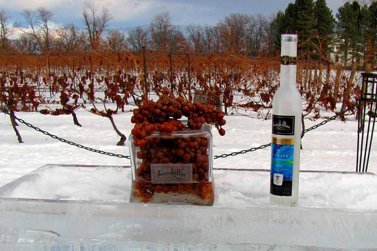 An Intro to Icewine, a Wine Crafted From Temperature Extremes InsideHook