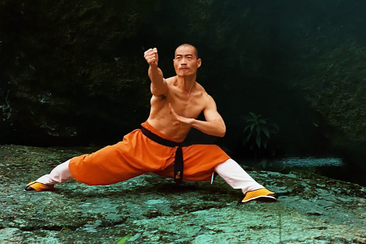 Shaolin Master Breaks Down Fight Scenes From 10 Kung Fu Movies
