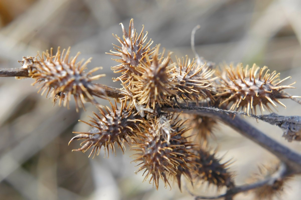 Can the Right Shoes Help in Rewilding the Landscape? - InsideHook