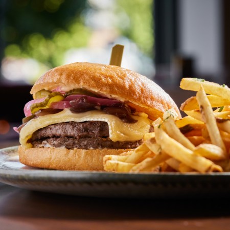 Burger and fries on a plate