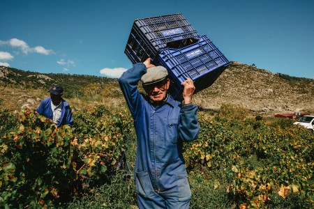 A man carrying crates through a farm.