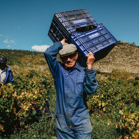 A man carrying crates through a farm.