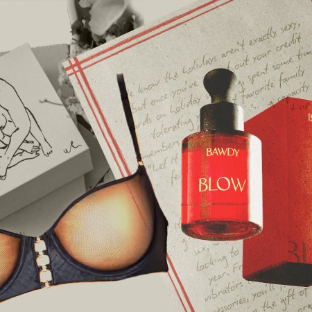 A collection of the best sex gifts to give this year.