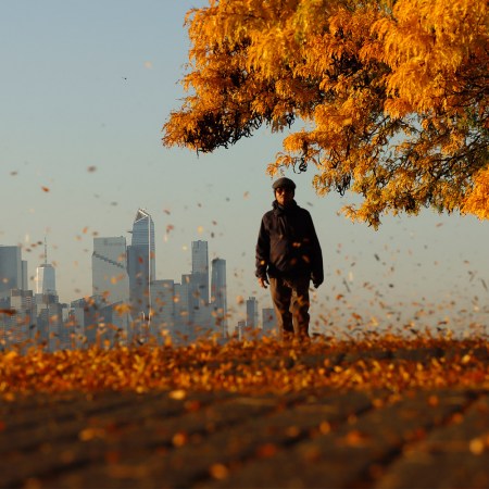 A man walking amongst swirling leaves, with a skyline in the background.