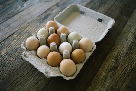 Eggs