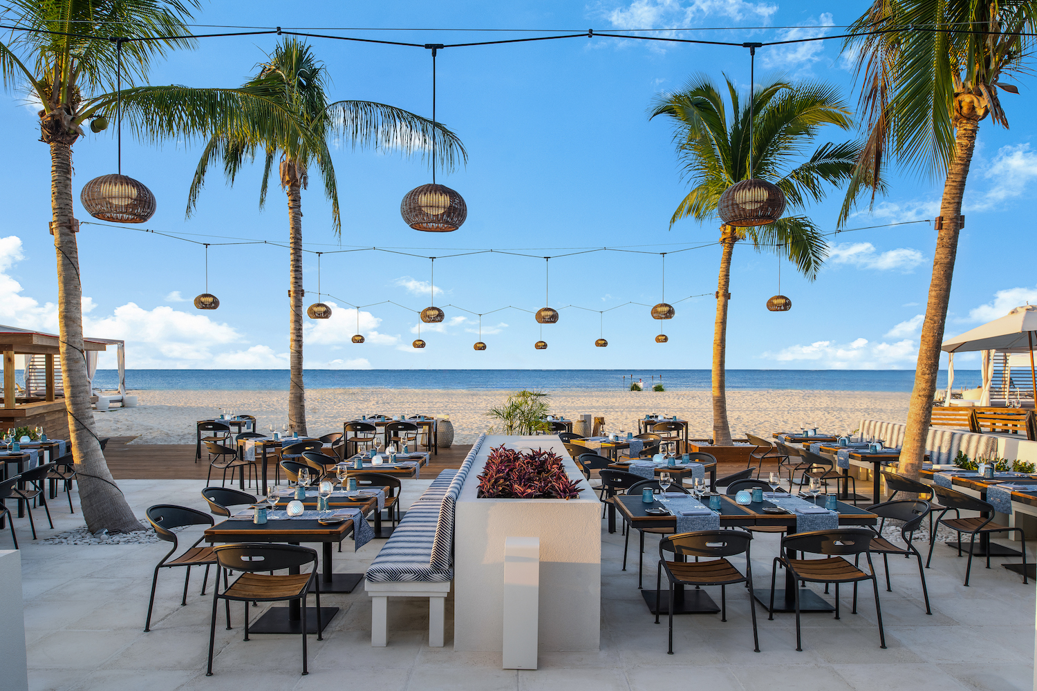 a beachside restaurant with palm trees and hanging lanterns