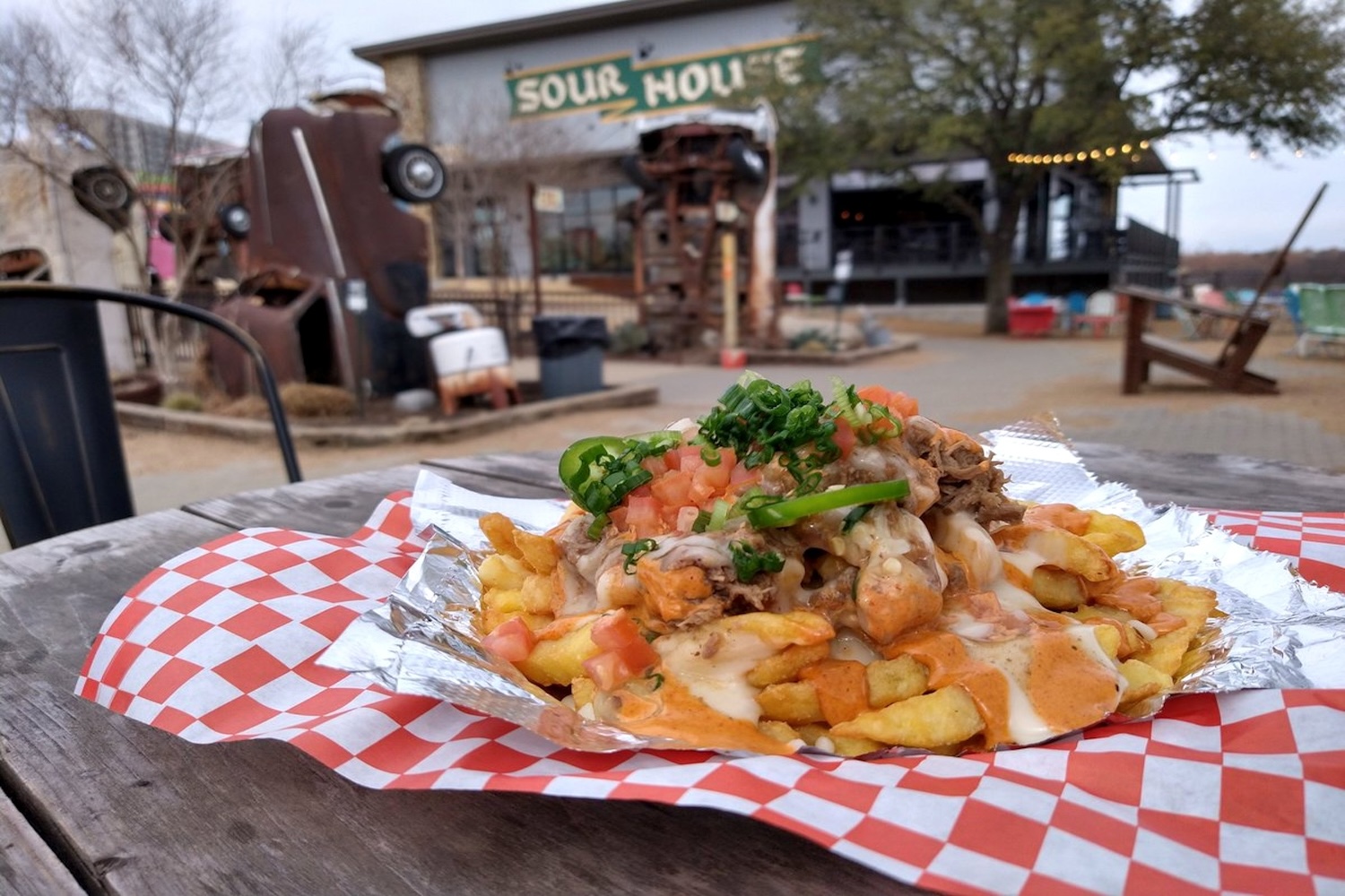 fries with sauce, meat, green onions on top