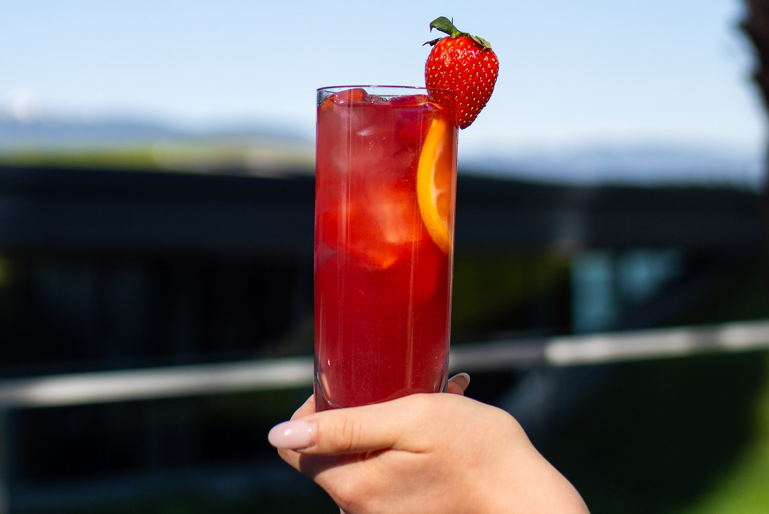 a woman's hand holding a collins glass of rose sangria garnished with a strawberry