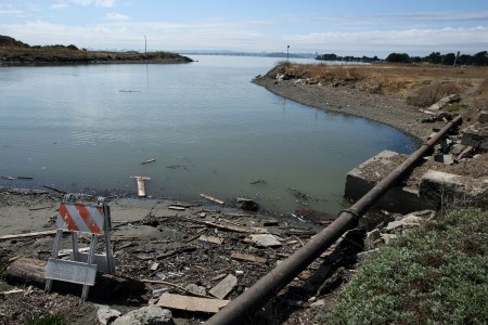 Is Bottled Water Harming California’s Wildlife?