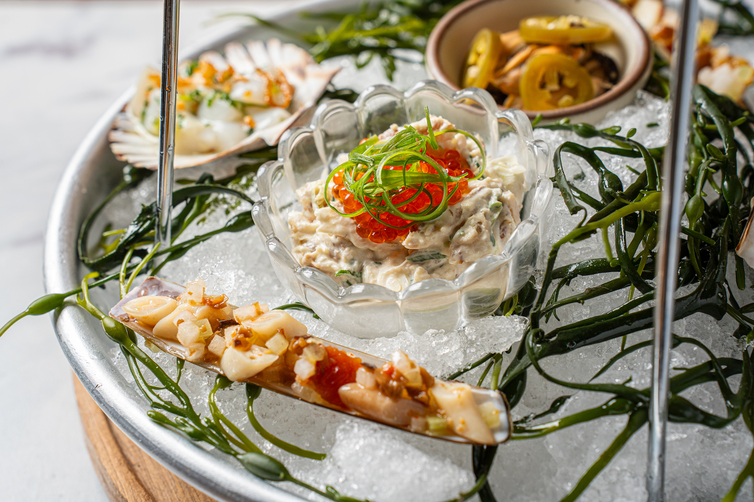 a closeup of razor clams on a shellfish tower with smoked fish salad and scallop crudo