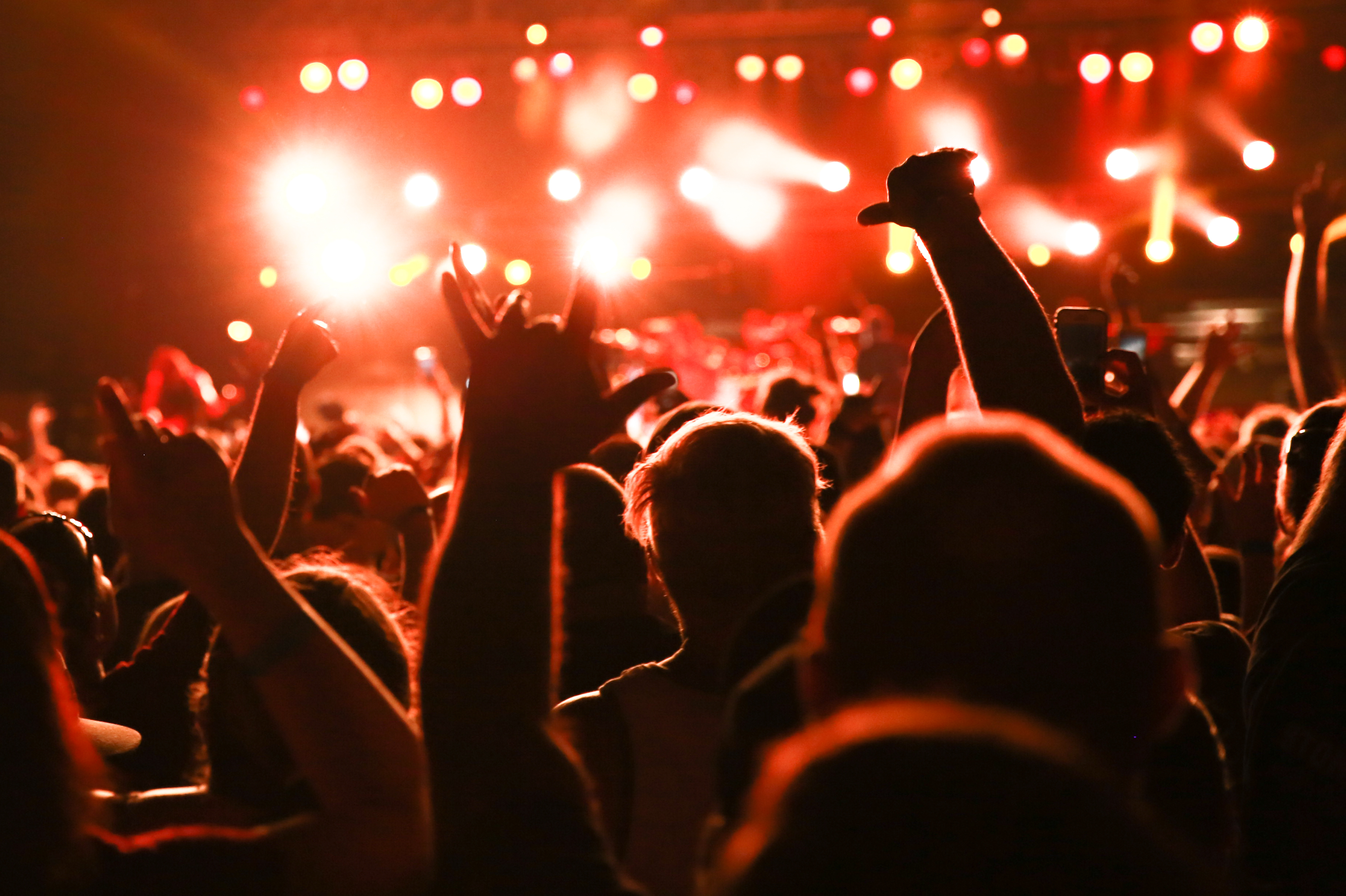 Music festival crowd